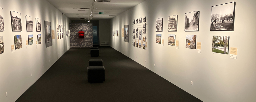 Solutia Cleartex la solicitarea speciala din partea Muzeului de Arte Plastice din Budapesta